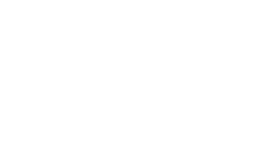 AniChe Cellars Scrolled light version of the logo (Link to homepage)