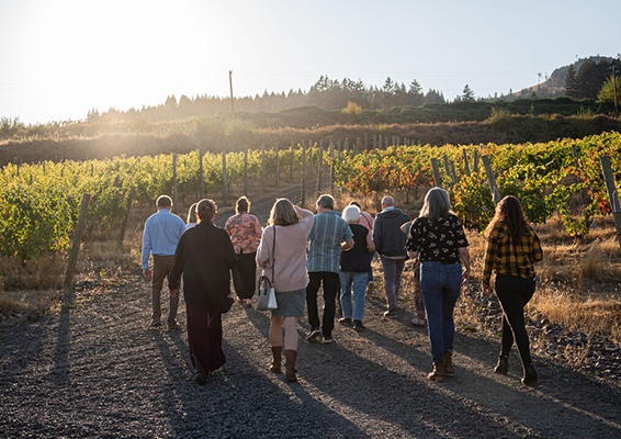 vineyardwalk
